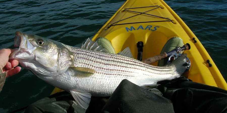 Pesca con Kyak